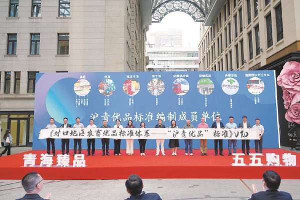 向好意思好启程｜援青十五载：凝华东说念主心 民族投合 高质料发展