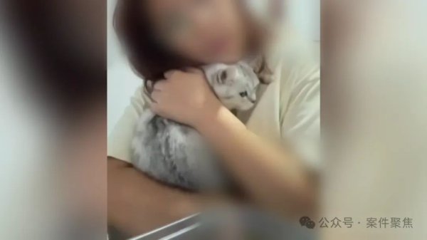 “连猫王人不如！”放胆欲男友下杀手后用女友钱打车隐迹！卫生间血印揭凶狠真相