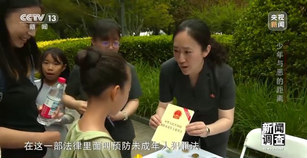 新闻调查 | 法律该不该重办罪错少年？训戒帮教轨制实施后果如何？