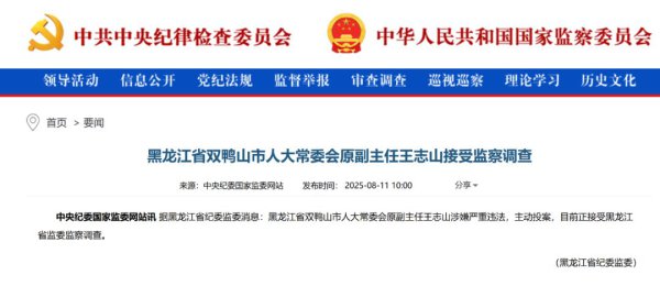 涉嫌严重行恶，王志山主动投案